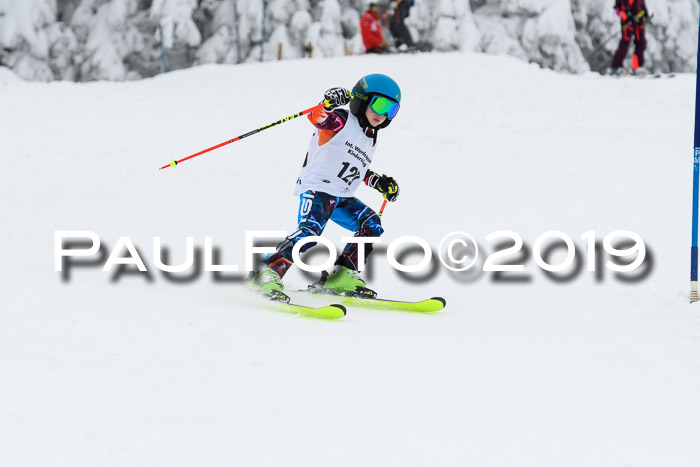Werdenfelser Kinderskitag. mit Ziener und BZB Cup 2019