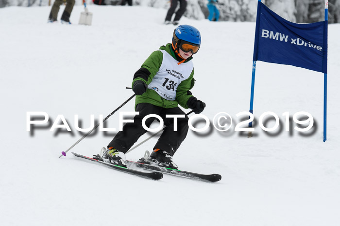 Werdenfelser Kinderskitag. mit Ziener und BZB Cup 2019