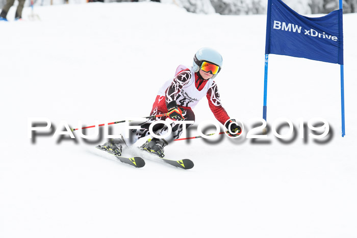 Werdenfelser Kinderskitag. mit Ziener und BZB Cup 2019