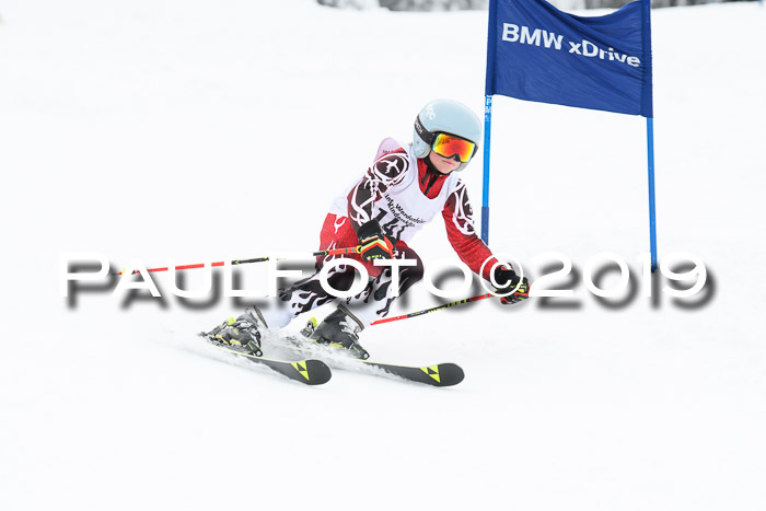 Werdenfelser Kinderskitag. mit Ziener und BZB Cup 2019