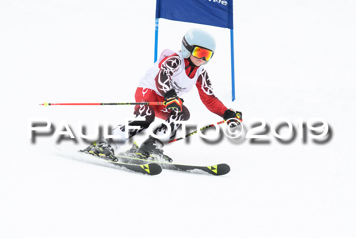 Werdenfelser Kinderskitag. mit Ziener und BZB Cup 2019