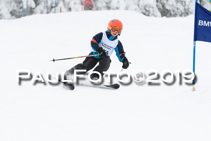 Werdenfelser Kinderskitag. mit Ziener und BZB Cup 2019