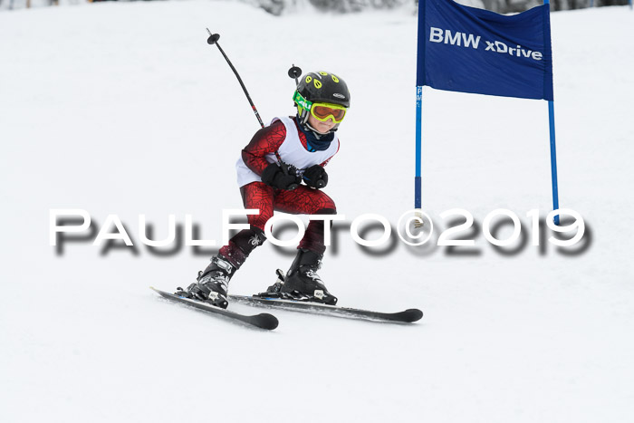 Werdenfelser Kinderskitag. mit Ziener und BZB Cup 2019