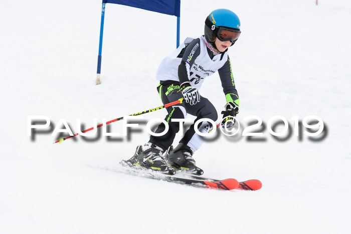 Werdenfelser Kinderskitag. mit Ziener und BZB Cup 2019