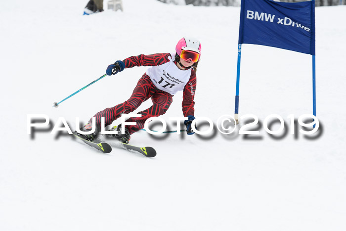Werdenfelser Kinderskitag. mit Ziener und BZB Cup 2019