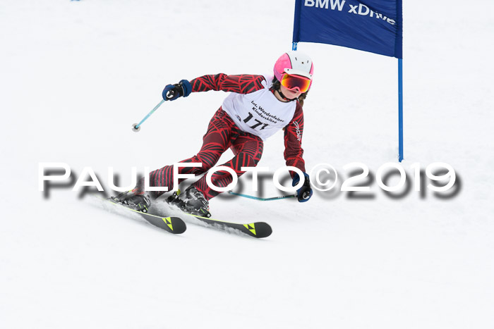 Werdenfelser Kinderskitag. mit Ziener und BZB Cup 2019