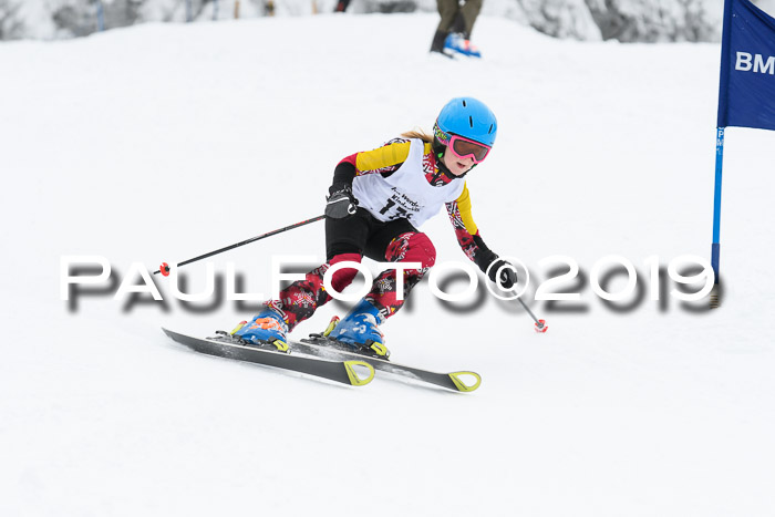 Werdenfelser Kinderskitag. mit Ziener und BZB Cup 2019