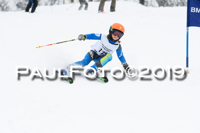 Werdenfelser Kinderskitag. mit Ziener und BZB Cup 2019