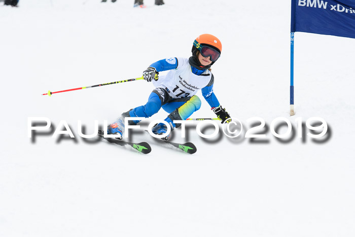 Werdenfelser Kinderskitag. mit Ziener und BZB Cup 2019