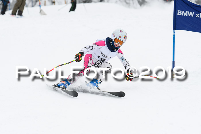 Werdenfelser Kinderskitag. mit Ziener und BZB Cup 2019
