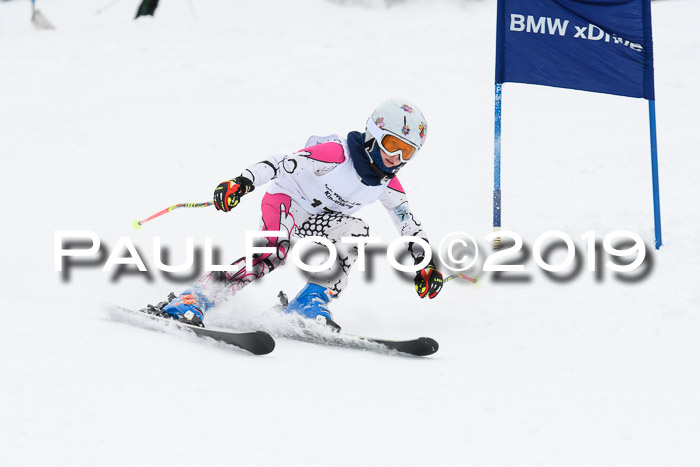 Werdenfelser Kinderskitag. mit Ziener und BZB Cup 2019