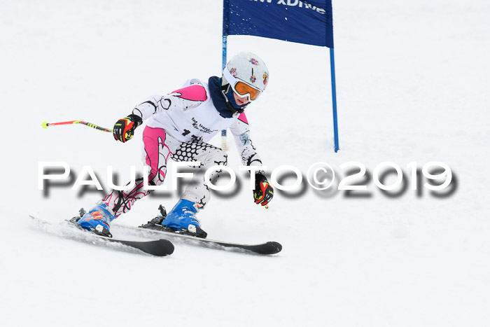 Werdenfelser Kinderskitag. mit Ziener und BZB Cup 2019
