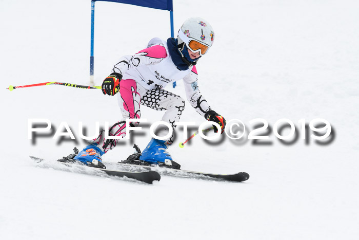 Werdenfelser Kinderskitag. mit Ziener und BZB Cup 2019