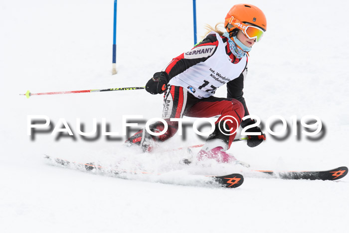 Werdenfelser Kinderskitag. mit Ziener und BZB Cup 2019