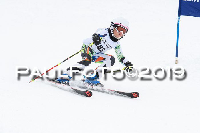 Werdenfelser Kinderskitag. mit Ziener und BZB Cup 2019