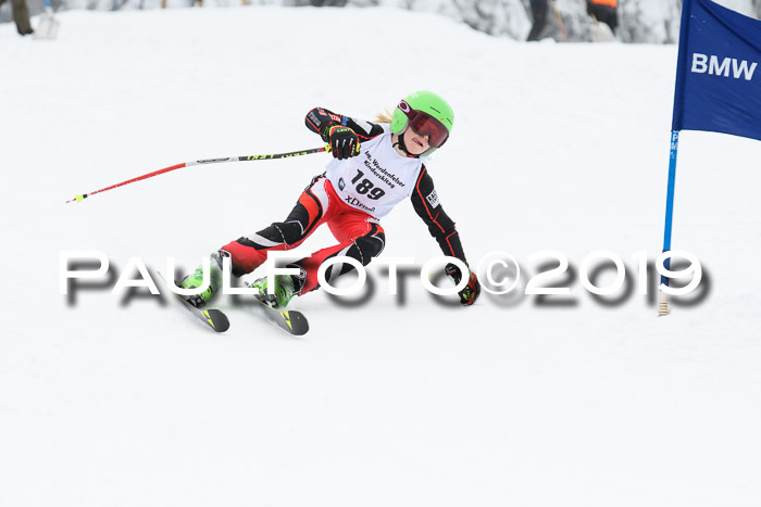 Werdenfelser Kinderskitag. mit Ziener und BZB Cup 2019
