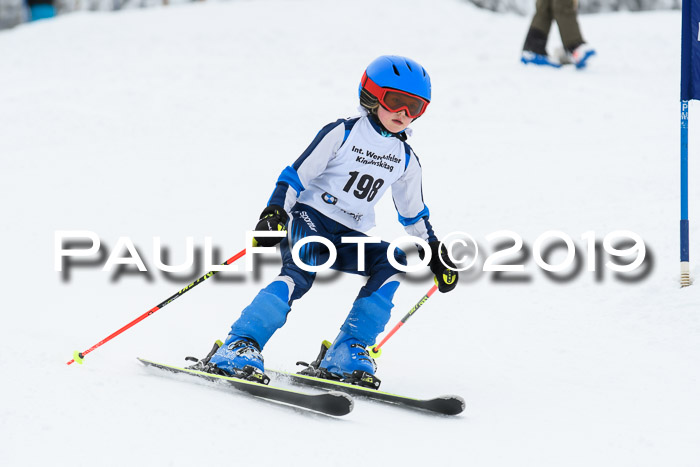 Werdenfelser Kinderskitag. mit Ziener und BZB Cup 2019