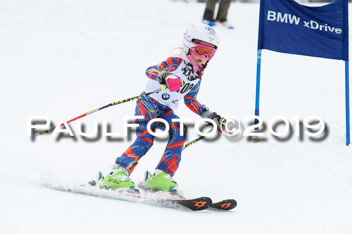Werdenfelser Kinderskitag. mit Ziener und BZB Cup 2019