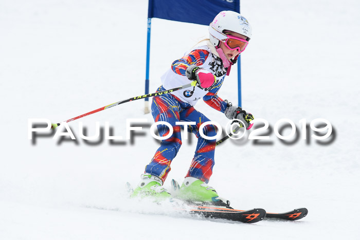 Werdenfelser Kinderskitag. mit Ziener und BZB Cup 2019