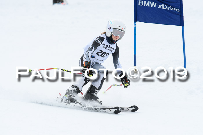 Werdenfelser Kinderskitag. mit Ziener und BZB Cup 2019