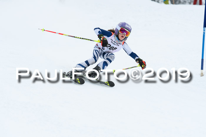 Werdenfelser Kinderskitag. mit Ziener und BZB Cup 2019
