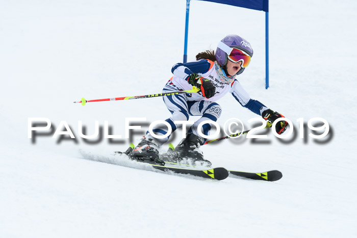 Werdenfelser Kinderskitag. mit Ziener und BZB Cup 2019