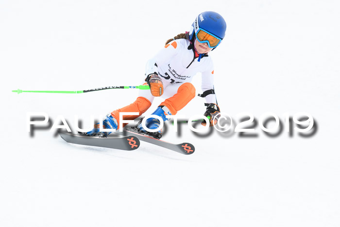 Werdenfelser Kinderskitag. mit Ziener und BZB Cup 2019