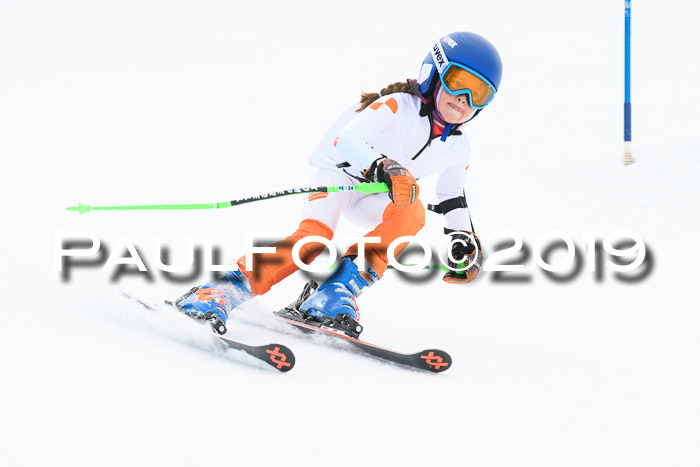 Werdenfelser Kinderskitag. mit Ziener und BZB Cup 2019