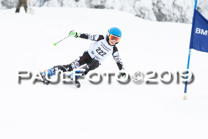 Werdenfelser Kinderskitag. mit Ziener und BZB Cup 2019