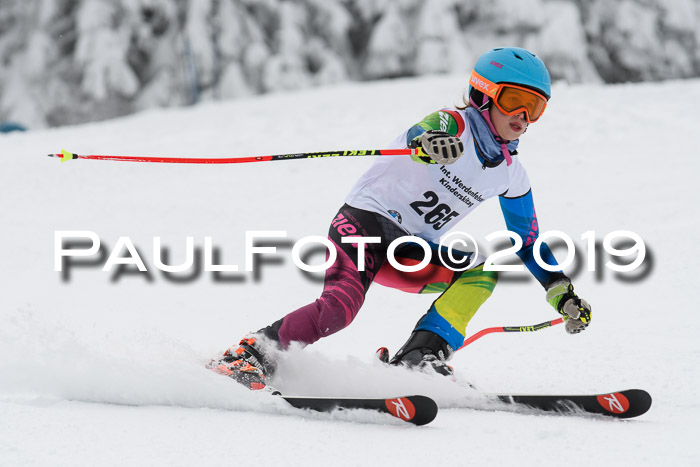 Werdenfelser Kinderskitag. mit Ziener und BZB Cup 2019