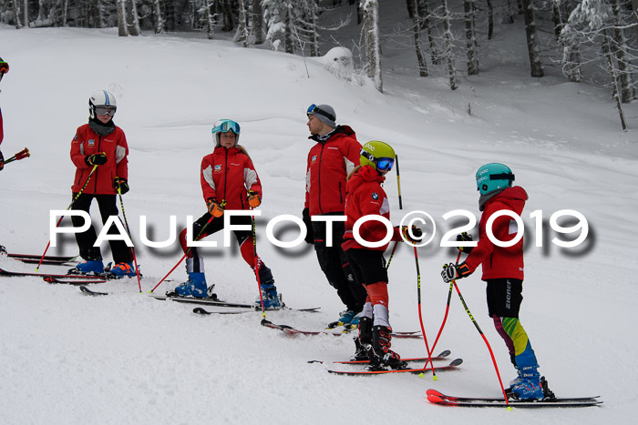 Werdenfelser Kinderskitag. mit Ziener und BZB Cup 2019