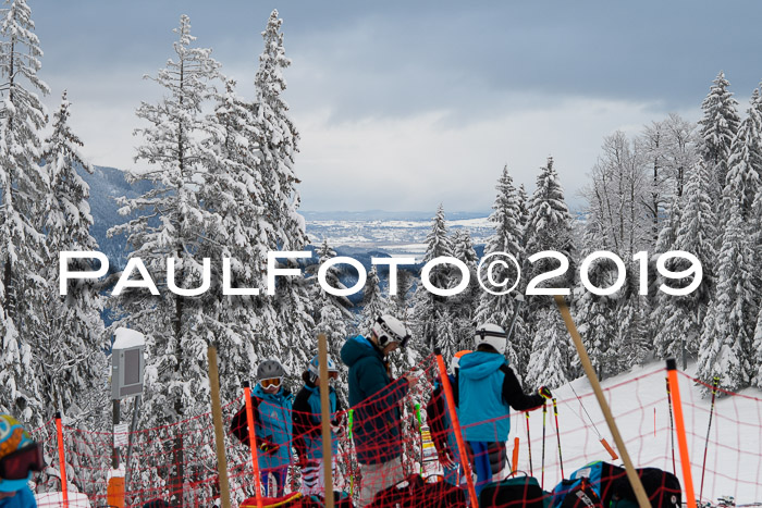 Werdenfelser Kinderskitag. mit Ziener und BZB Cup 2019