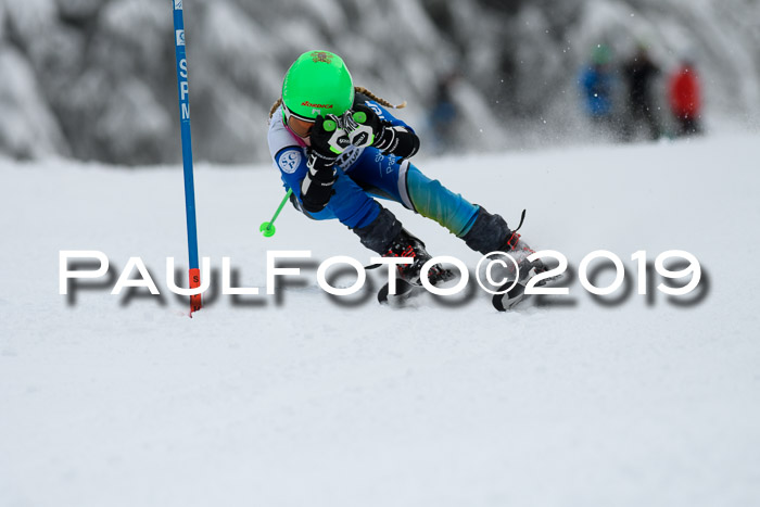 Werdenfelser Kinderskitag. mit Ziener und BZB Cup 2019