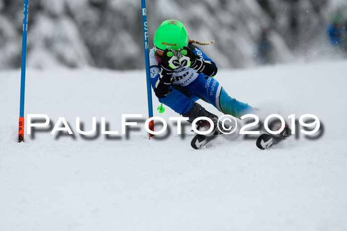 Werdenfelser Kinderskitag. mit Ziener und BZB Cup 2019