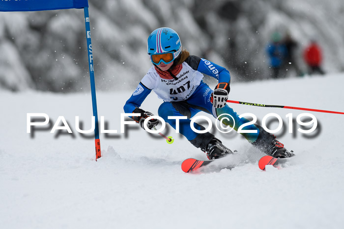 Werdenfelser Kinderskitag. mit Ziener und BZB Cup 2019