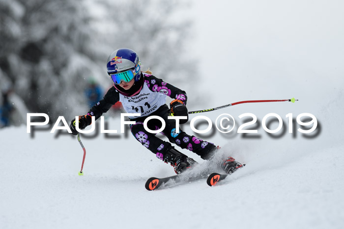 Werdenfelser Kinderskitag. mit Ziener und BZB Cup 2019