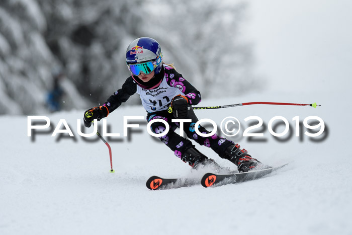 Werdenfelser Kinderskitag. mit Ziener und BZB Cup 2019