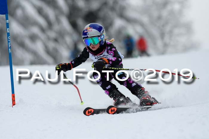 Werdenfelser Kinderskitag. mit Ziener und BZB Cup 2019