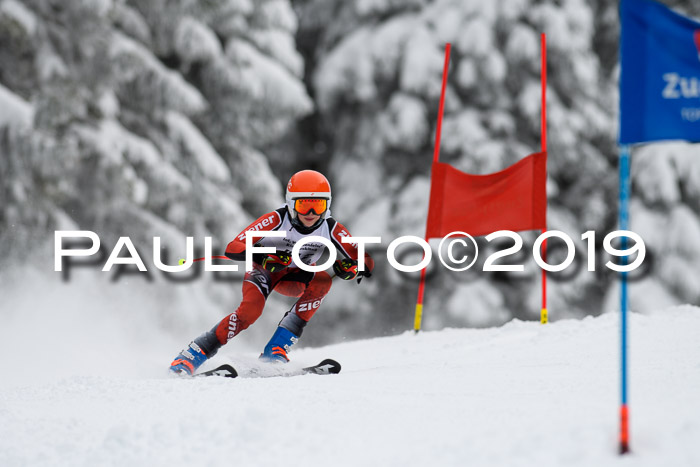 Werdenfelser Kinderskitag. mit Ziener und BZB Cup 2019