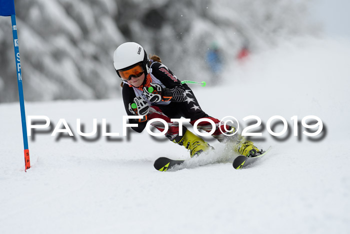 Werdenfelser Kinderskitag. mit Ziener und BZB Cup 2019