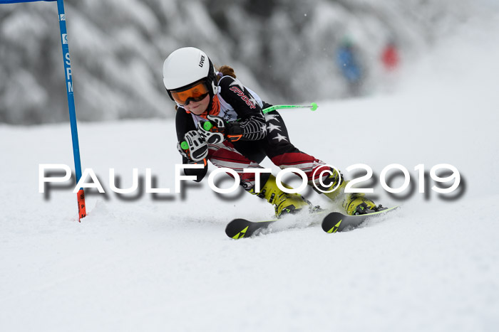 Werdenfelser Kinderskitag. mit Ziener und BZB Cup 2019