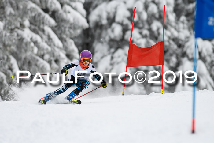 Werdenfelser Kinderskitag. mit Ziener und BZB Cup 2019