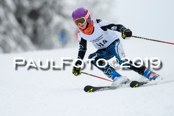Werdenfelser Kinderskitag. mit Ziener und BZB Cup 2019