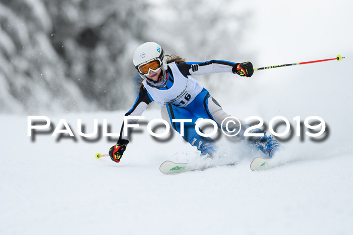 Werdenfelser Kinderskitag. mit Ziener und BZB Cup 2019