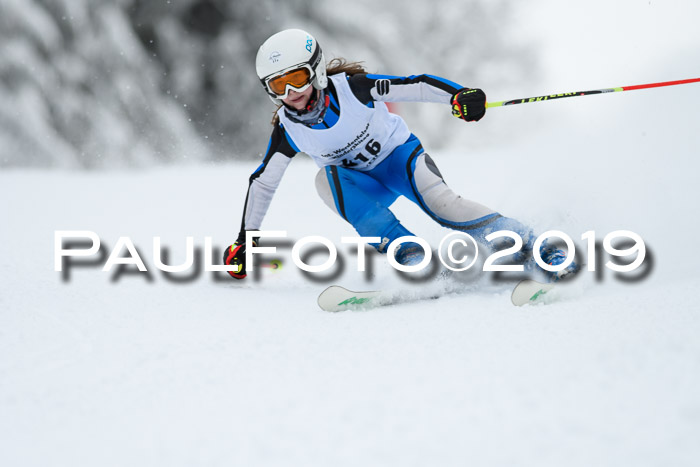 Werdenfelser Kinderskitag. mit Ziener und BZB Cup 2019