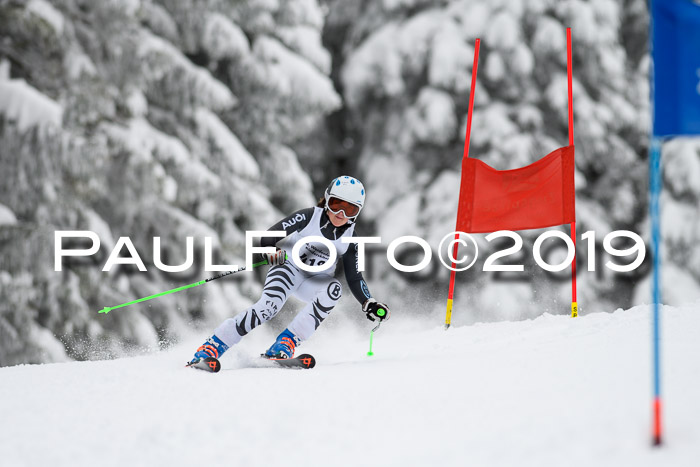 Werdenfelser Kinderskitag. mit Ziener und BZB Cup 2019