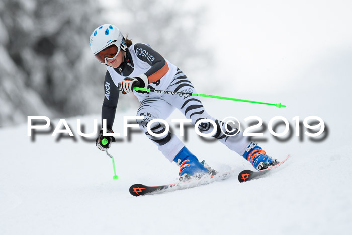 Werdenfelser Kinderskitag. mit Ziener und BZB Cup 2019