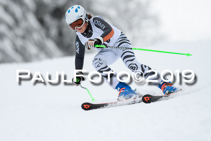 Werdenfelser Kinderskitag. mit Ziener und BZB Cup 2019