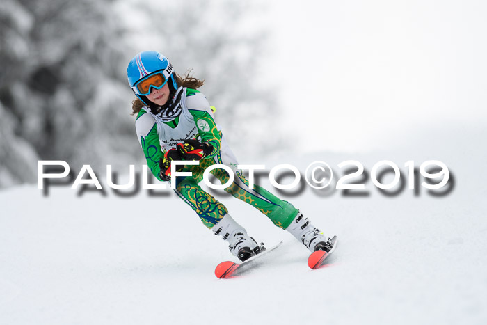 Werdenfelser Kinderskitag. mit Ziener und BZB Cup 2019