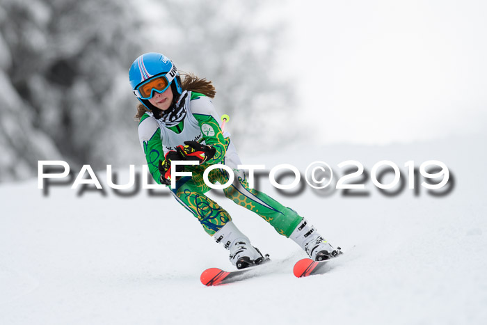 Werdenfelser Kinderskitag. mit Ziener und BZB Cup 2019